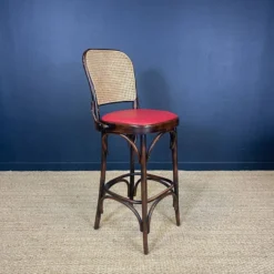 Set Of 10 Thonet Type High Bar Chairs In Dark Wood, Canework And Colored Skai 17 Set Of 10 Thonet Type High Bar Chairs In Dark Wood, Canework And Colored Skai -Cozy Seats Store 21d1be67 1bce 4d66 86f0 f878effdc132