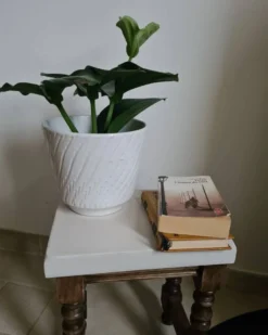 Pimped Out Stool -Cozy Seats Store 334620e4 46a0 4ae8 9238 d0f3b3cf86a9