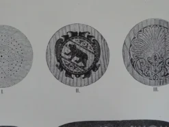 Curved Wooden Bistro Stool With Wooden Seat 1920 13 Curved Wooden Bistro Stool With Wooden Seat 1920 -Cozy Seats Store 670fea16 391d 4b6d b8d0 56ea469c53f2