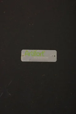 Pierre Paulin Red Pouf "Mushroom" -Cozy Seats Store b0898312 4227 4e5b 83cf a0a6b04077c3