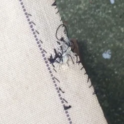 Folding Canvas Seat -Cozy Seats Store cf860d87 2260 4712 a5e3 3394a3c9dea8