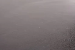 “Tulip” Model Stools By Eero Saarinen For Knoll International, USA 1957 -Cozy Seats Store fde5f2d5 fd27 4dc9 b38e a9e4ea88fb6d